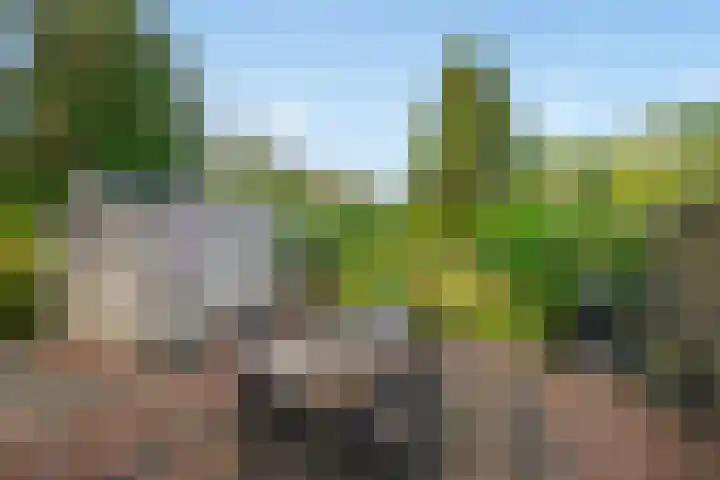 Wilgendreef 62 Voorburg thumbnail 19