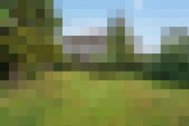 Wilgendreef 62 Voorburg thumbnail 20