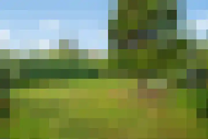 Wilgendreef 62 Voorburg thumbnail 21