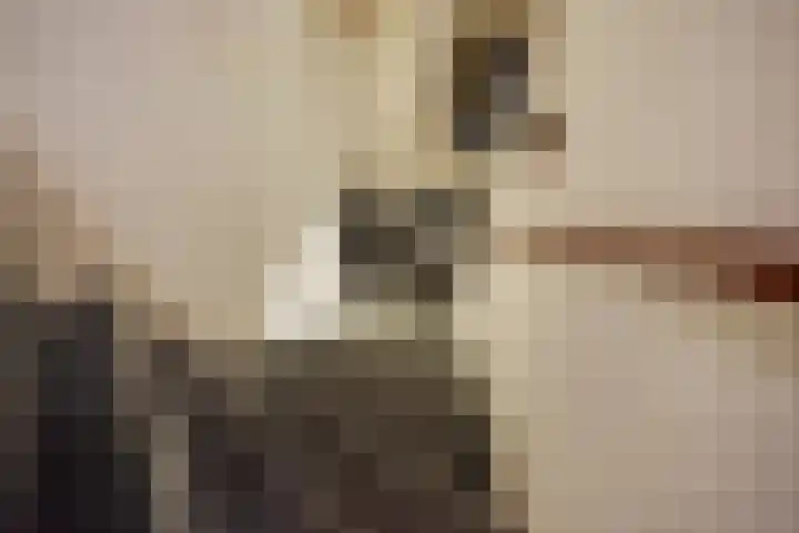 Wilgendreef 62 Voorburg thumbnail 23