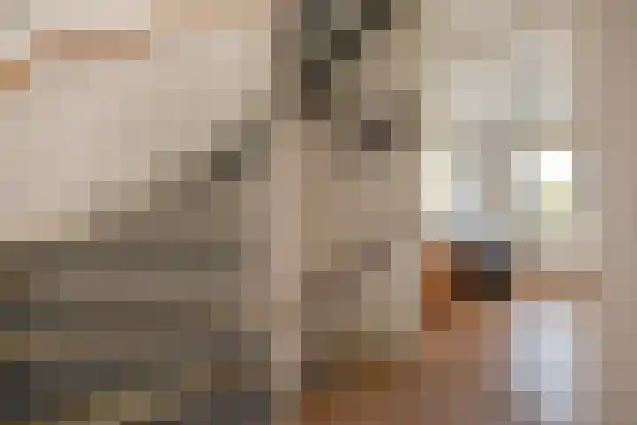 Wilgendreef 62 Voorburg thumbnail 24