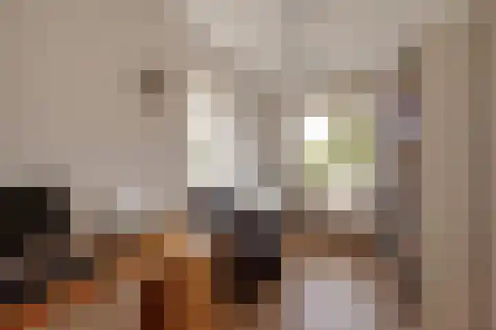 Wilgendreef 62 Voorburg thumbnail 27