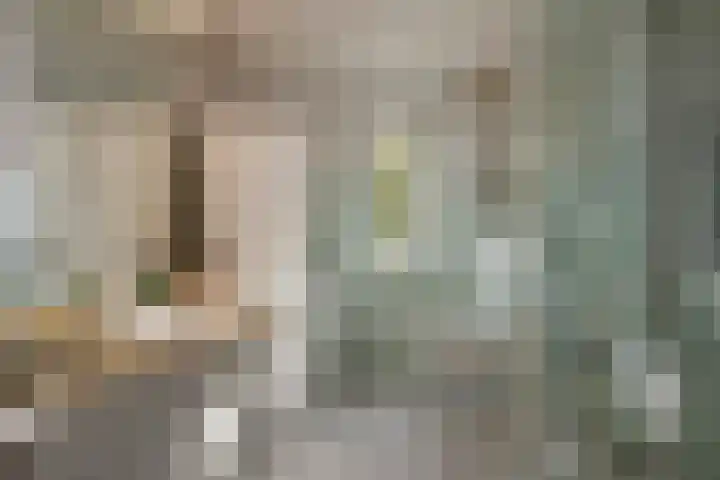 Wilgendreef 62 Voorburg thumbnail 28