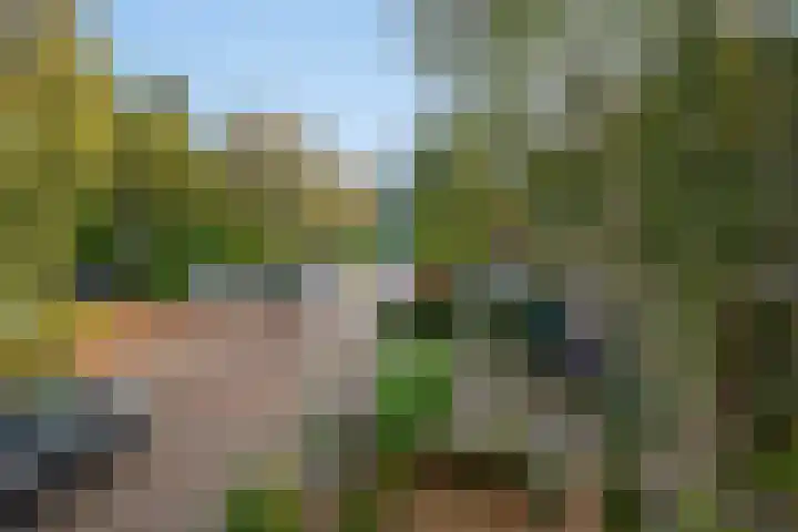 Wilgendreef 62 Voorburg thumbnail 31
