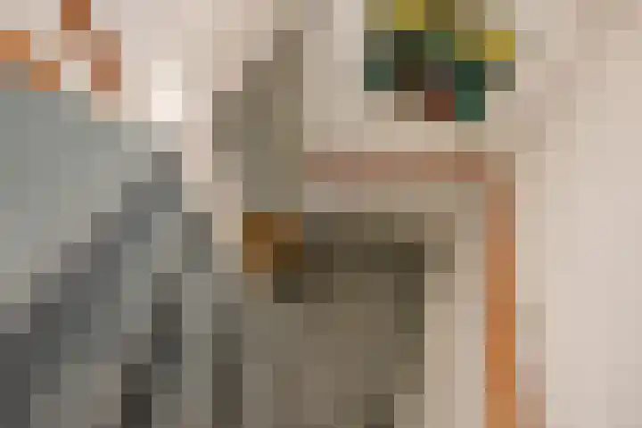 Wilgendreef 62 Voorburg thumbnail 32