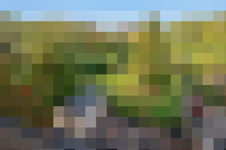 Wilgendreef 62 Voorburg thumbnail 33