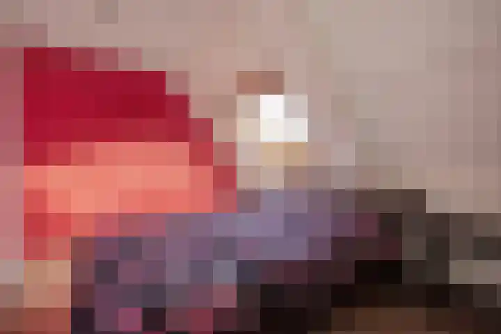 Wilgendreef 62 Voorburg thumbnail 34