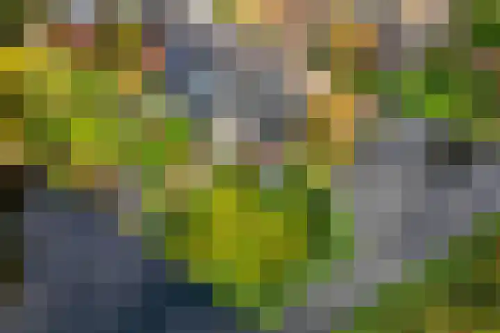 Wilgendreef 62 Voorburg thumbnail 37