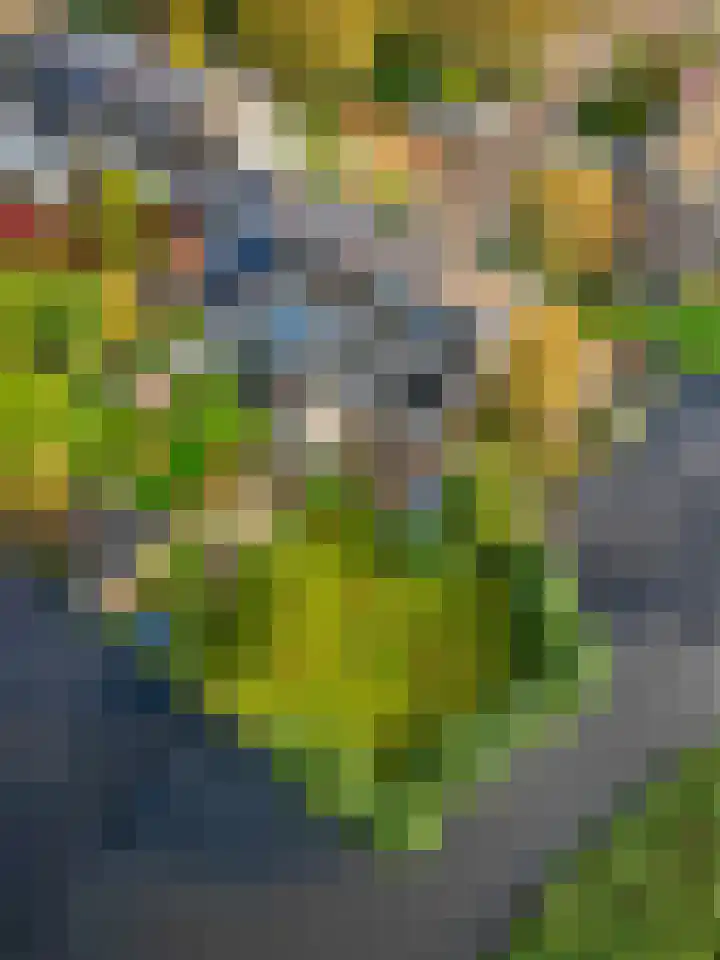 Wilgendreef 62 Voorburg thumbnail 38