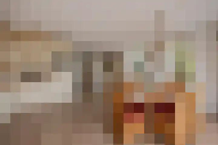 Wilgendreef 62 Voorburg thumbnail 4