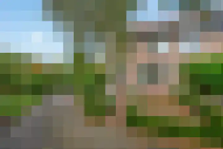 Wilgendreef 62 Voorburg thumbnail 6