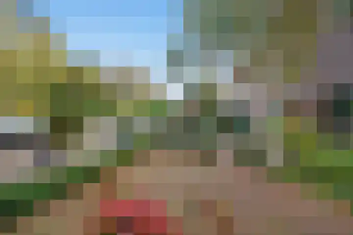 Wilgendreef 62 Voorburg thumbnail 8