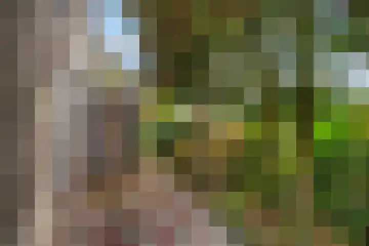 Wilgendreef 62 Voorburg thumbnail 9