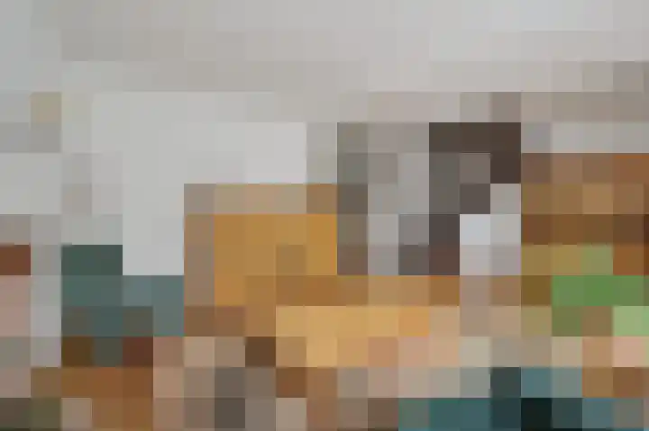 Wilgendreef 77 Voorburg thumbnail 11