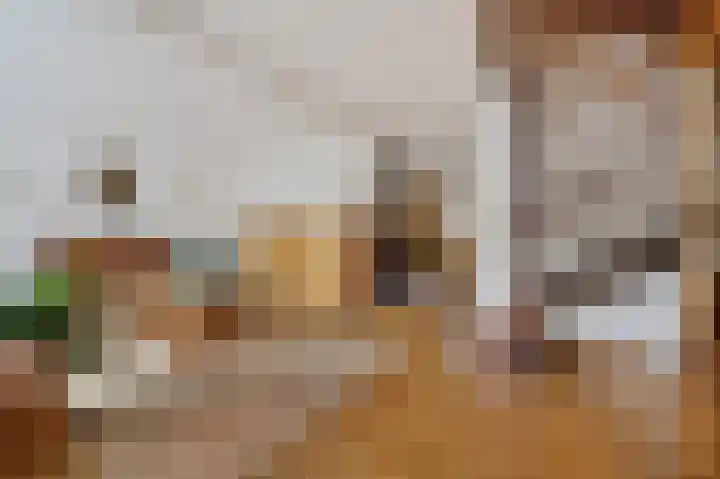 Wilgendreef 77 Voorburg thumbnail 12