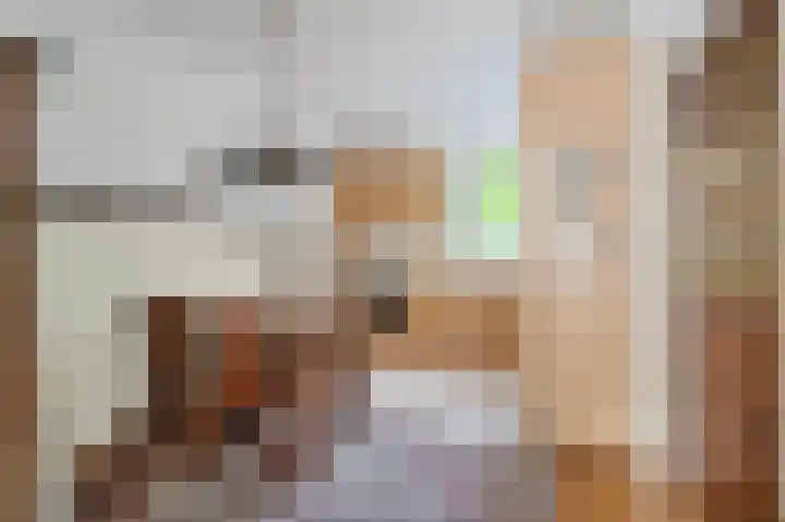 Wilgendreef 77 Voorburg thumbnail 13