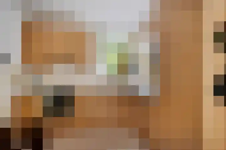 Wilgendreef 77 Voorburg thumbnail 16