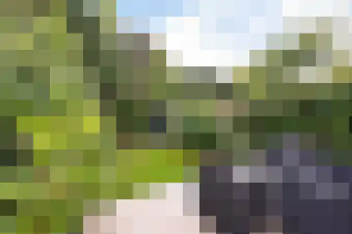 Wilgendreef 77 Voorburg thumbnail 17
