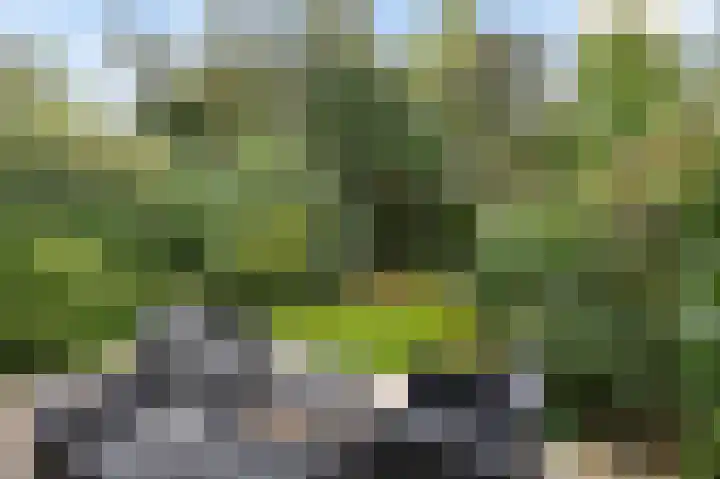 Wilgendreef 77 Voorburg thumbnail 18