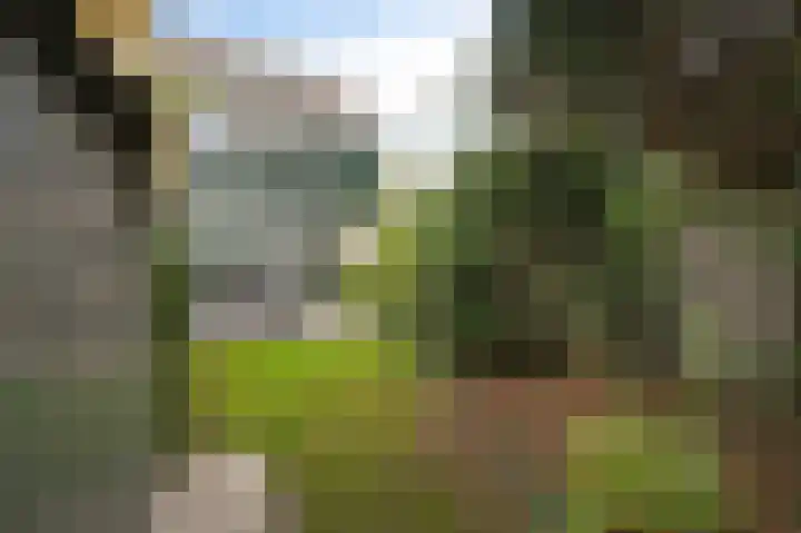 Wilgendreef 77 Voorburg thumbnail 19