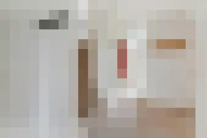 Wilgendreef 77 Voorburg thumbnail 21