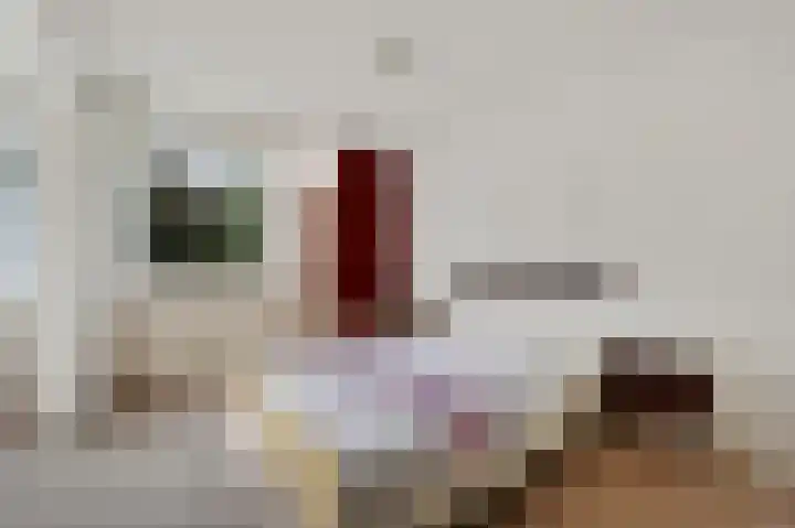 Wilgendreef 77 Voorburg thumbnail 22