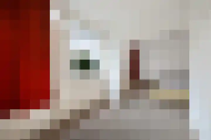 Wilgendreef 77 Voorburg thumbnail 23