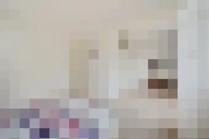 Wilgendreef 77 Voorburg thumbnail 24