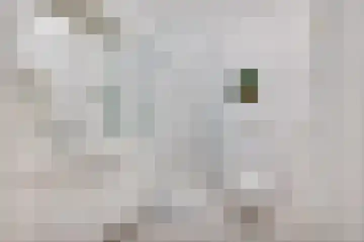 Wilgendreef 77 Voorburg thumbnail 25