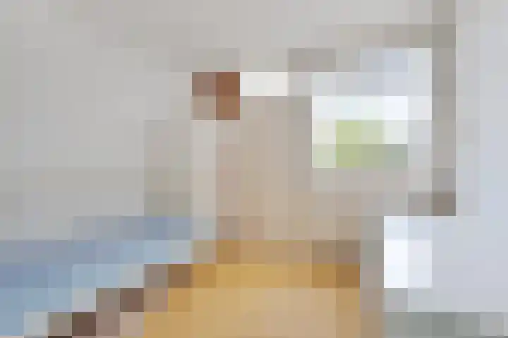 Wilgendreef 77 Voorburg thumbnail 27