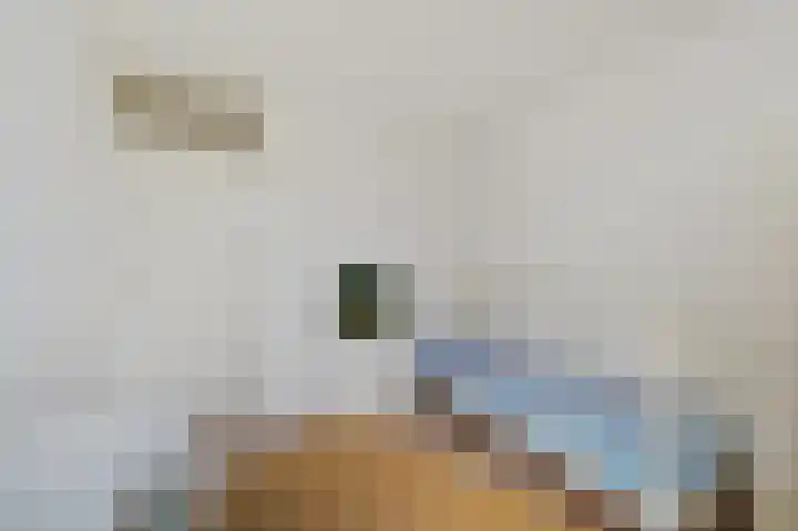 Wilgendreef 77 Voorburg thumbnail 28