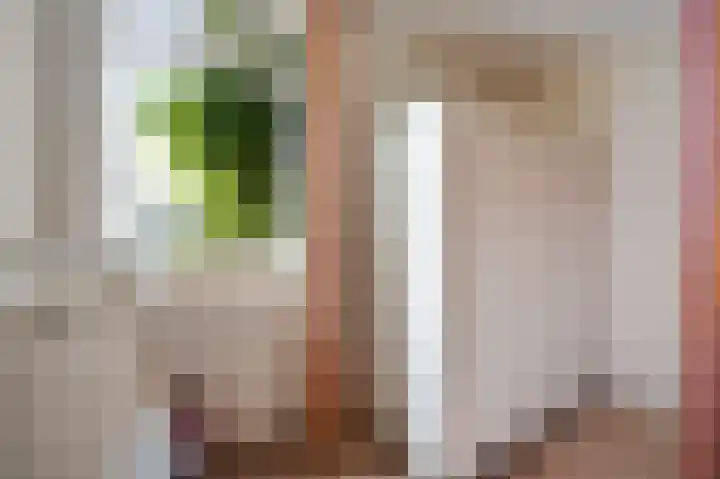 Wilgendreef 77 Voorburg thumbnail 29