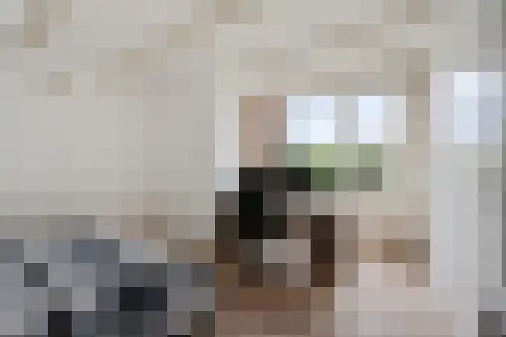 Wilgendreef 77 Voorburg thumbnail 32