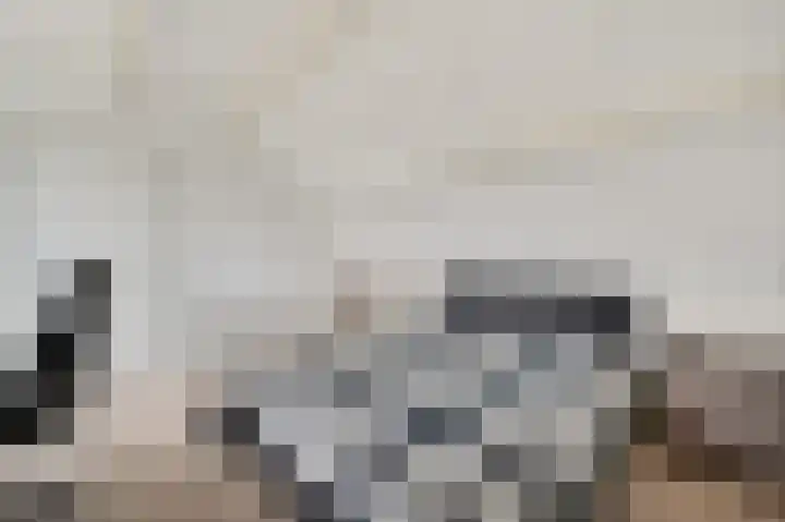 Wilgendreef 77 Voorburg thumbnail 33