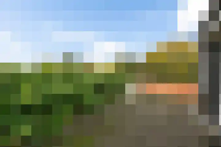 Wilgendreef 77 Voorburg thumbnail 34