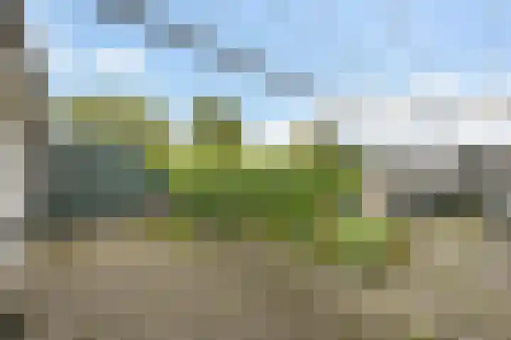 Wilgendreef 77 Voorburg thumbnail 35