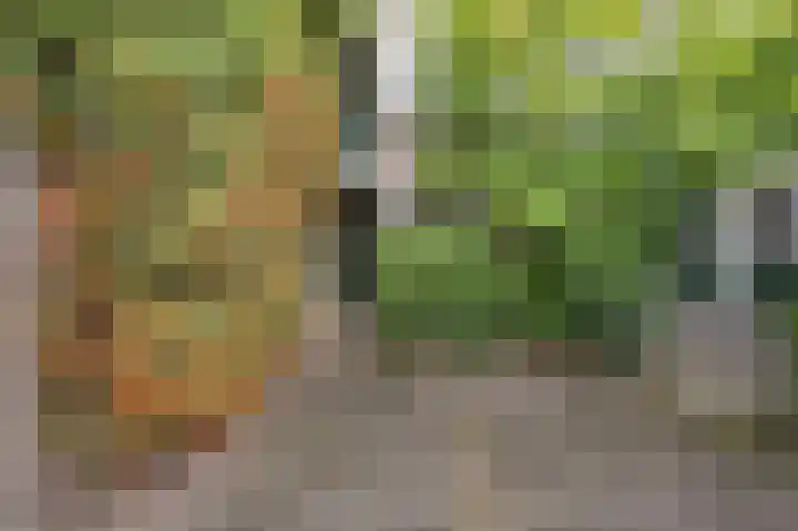 Wilgendreef 77 Voorburg thumbnail 37