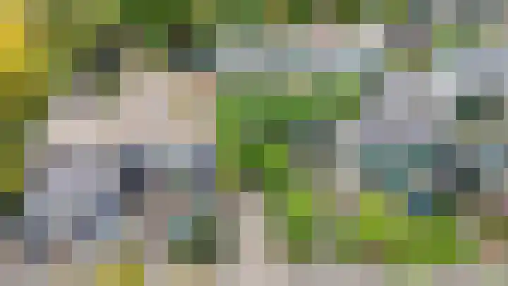 Wilgendreef 77 Voorburg thumbnail 40