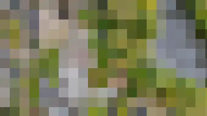 Wilgendreef 77 Voorburg thumbnail 41
