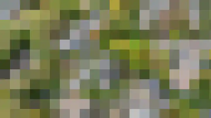 Wilgendreef 77 Voorburg thumbnail 43