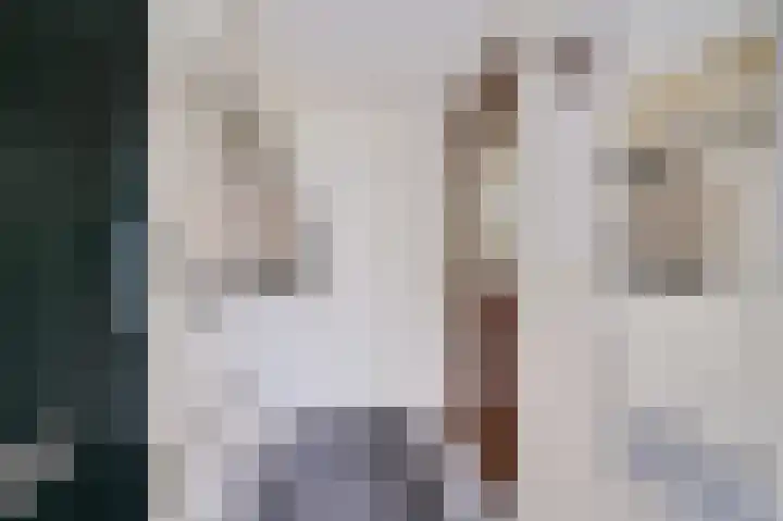 Wilgendreef 77 Voorburg thumbnail 7