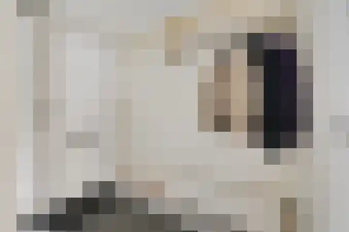 Wilgendreef 77 Voorburg thumbnail 8