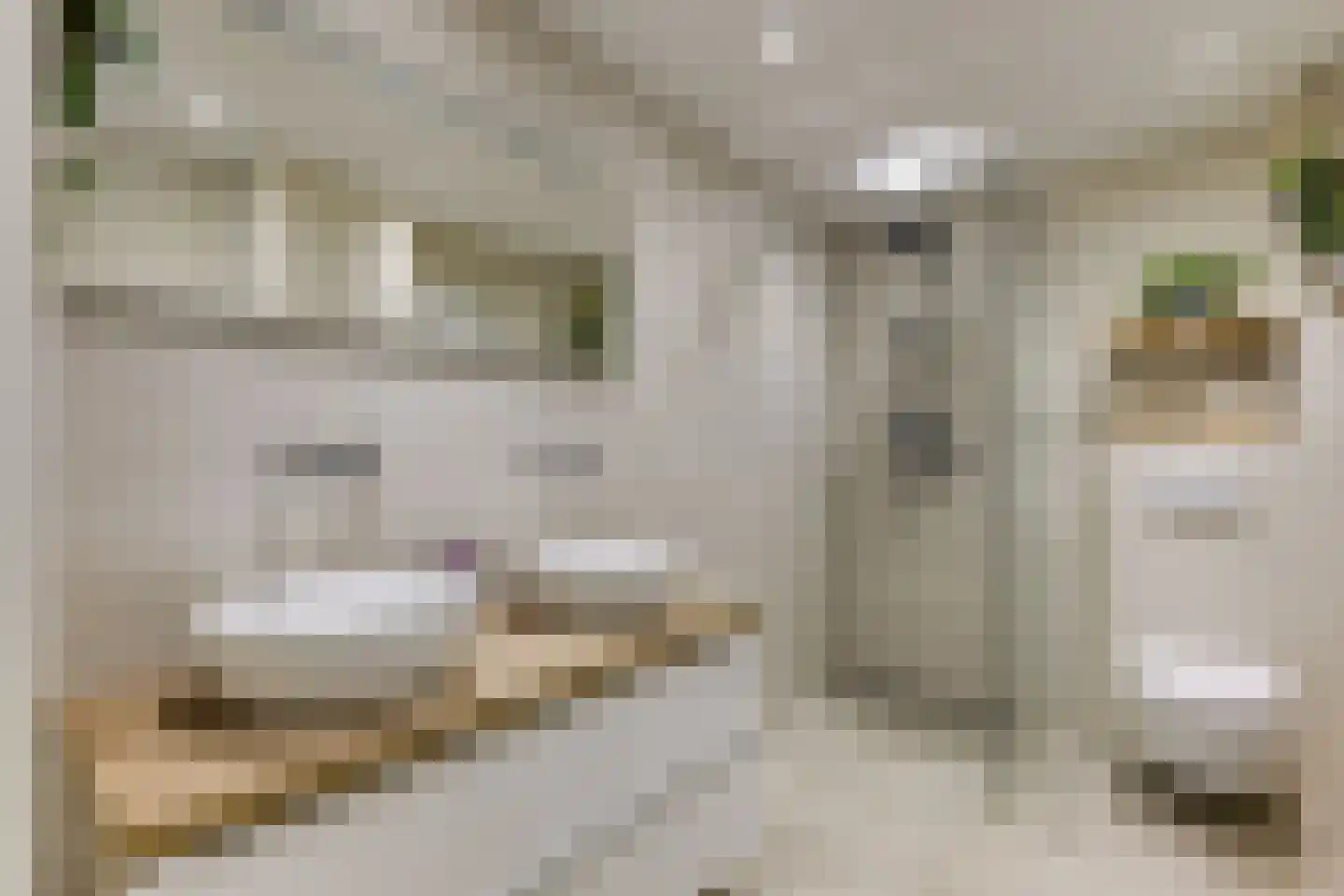 Wilgendreef 91 Voorburg thumbnail 16