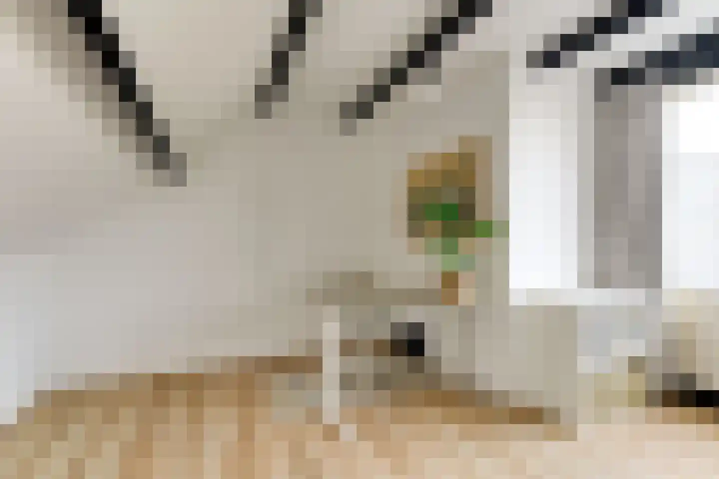 Wilgendreef 91 Voorburg thumbnail 23