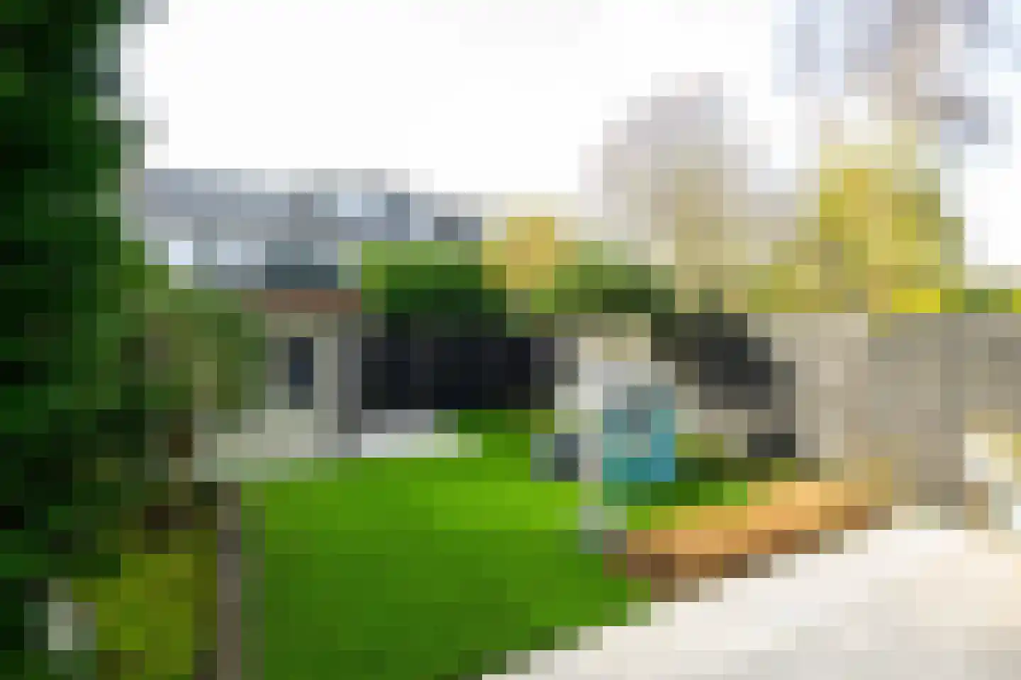 Wilgendreef 91 Voorburg thumbnail 24
