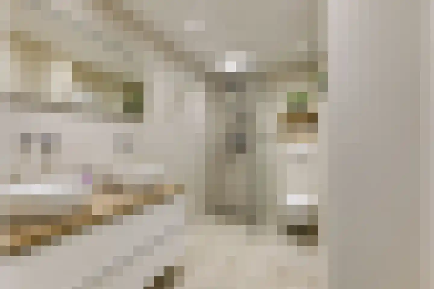 Wilgendreef 91 Voorburg thumbnail 4