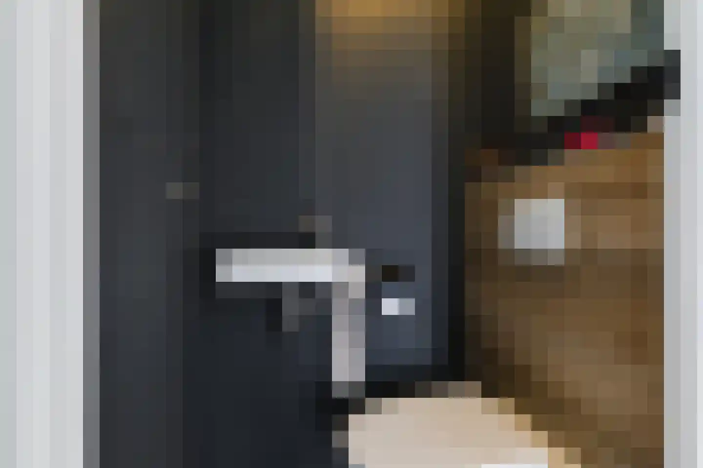 Wilgendreef 91 Voorburg thumbnail 7