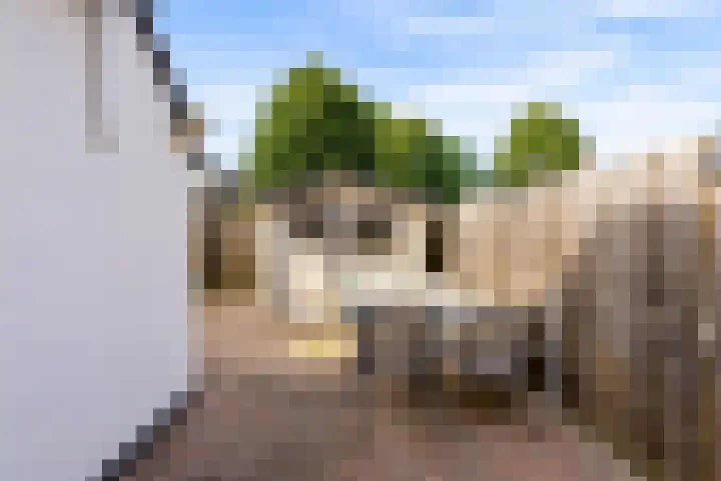 Wilgengriend 155 Almere thumbnail 13
