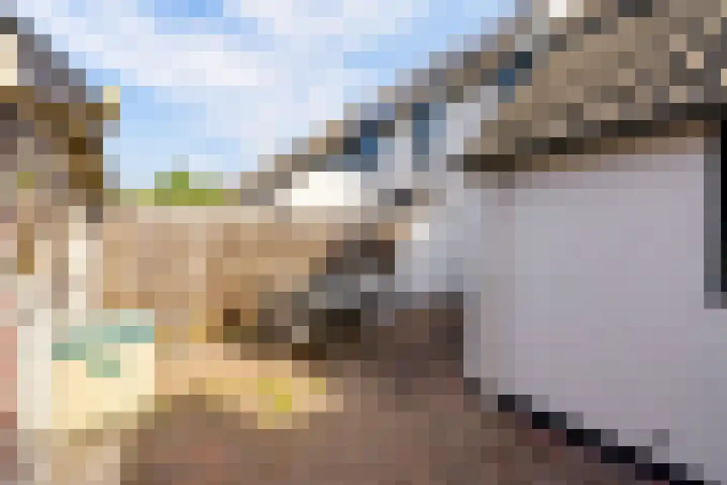 Wilgengriend 155 Almere thumbnail 16