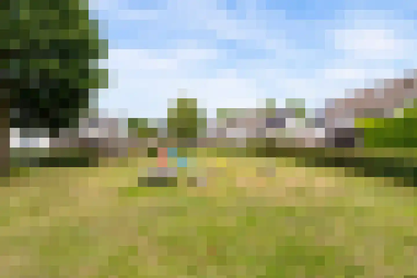 Wilgengriend 155 Almere thumbnail 38